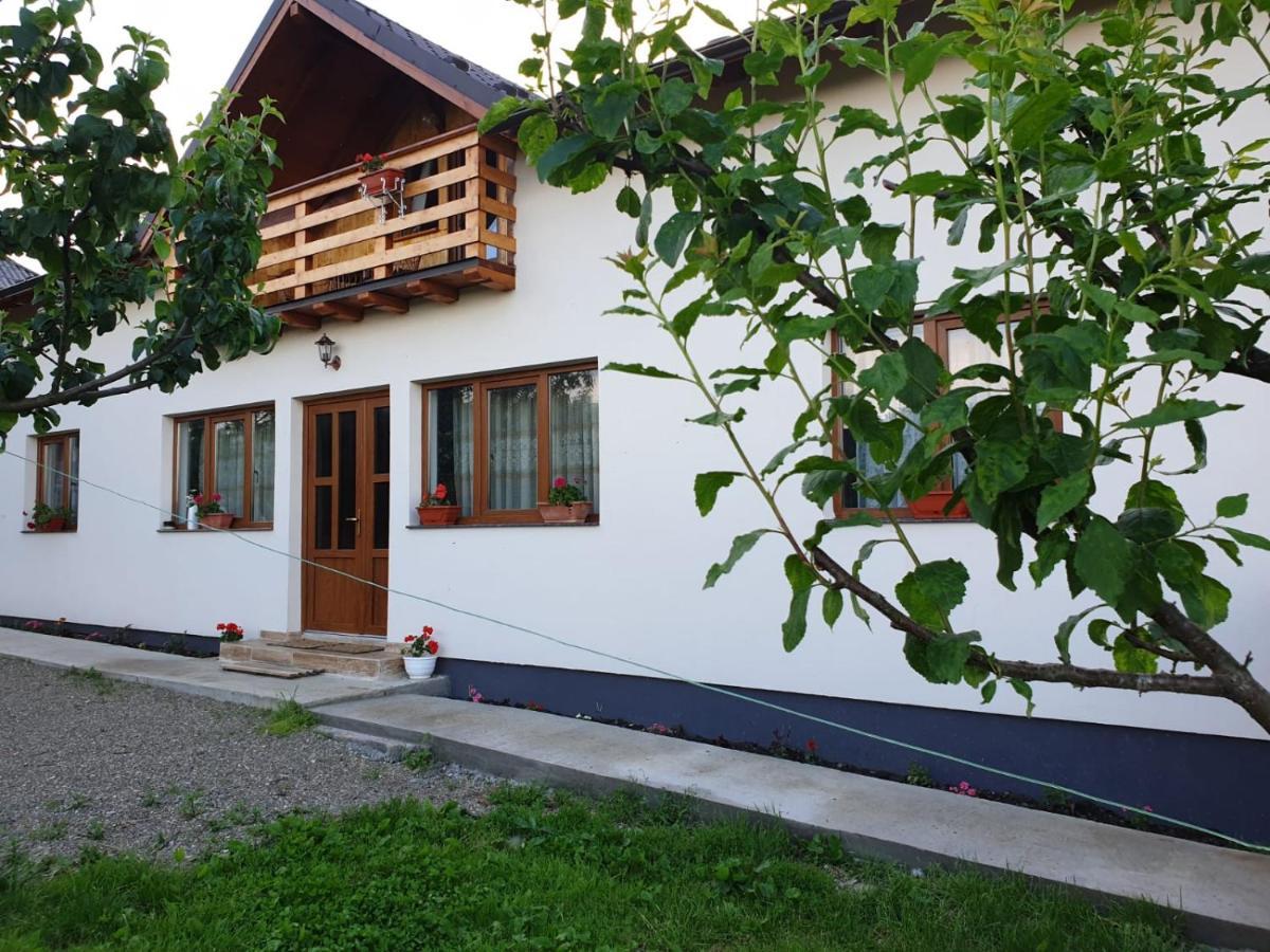 Pensiunea Ilea Ieud Exterior foto