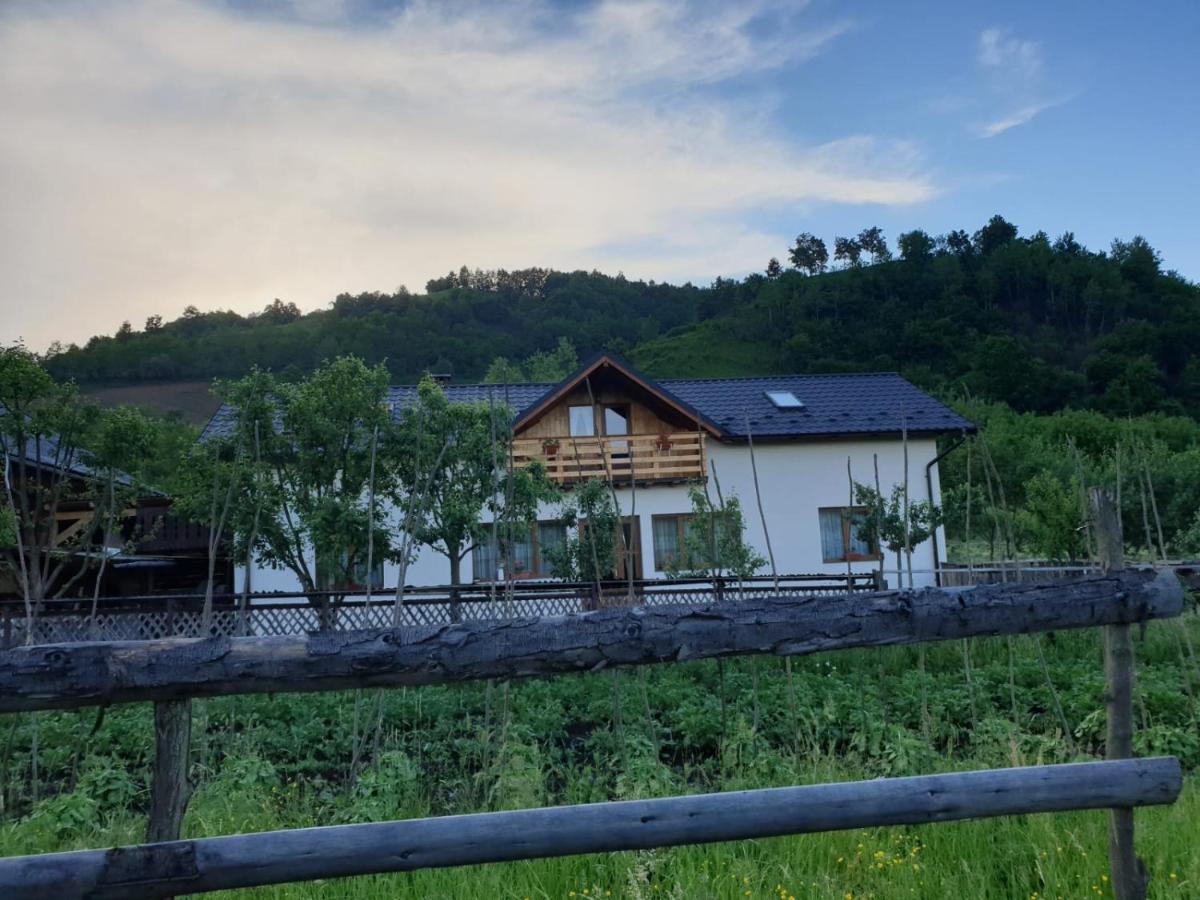 Pensiunea Ilea Ieud Exterior foto